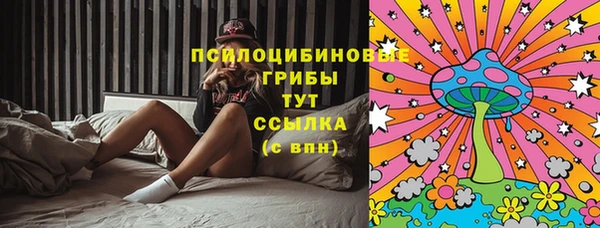ПСИЛОЦИБИНОВЫЕ ГРИБЫ Балабаново