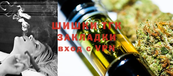 ПСИЛОЦИБИНОВЫЕ ГРИБЫ Балабаново