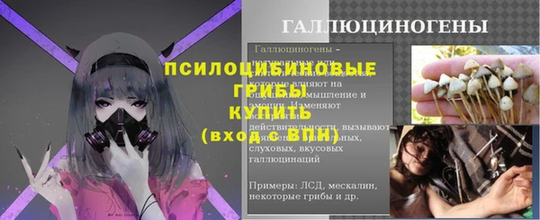 ПСИЛОЦИБИНОВЫЕ ГРИБЫ Балабаново
