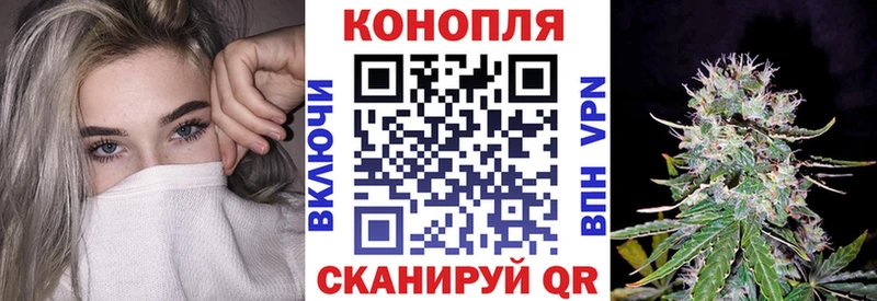 Конопля индика  продажа наркотиков  Гай 